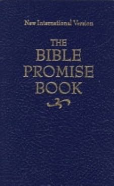 Bible Promise Book
